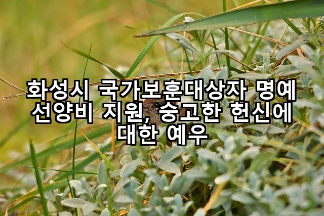 화성시 국가보훈대상자 명예 선양비 지원, 숭고한 헌신에 대한 예우